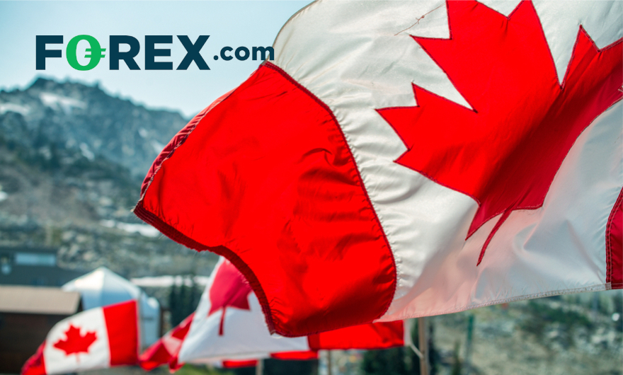 FOREX.com expands offering in Canadian market LeapRate